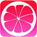 蜜柚v1.3.1最新版