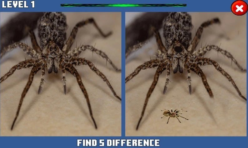 蜘蛛隐藏差异游戏图1