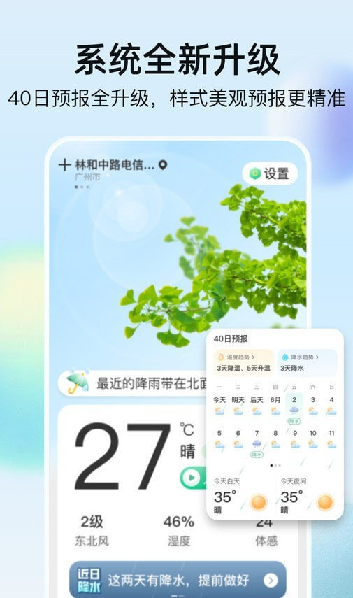 竹雨天气图1
