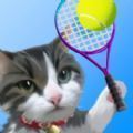 猫咪网球