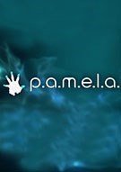 帕梅拉十项修改器 v1.0